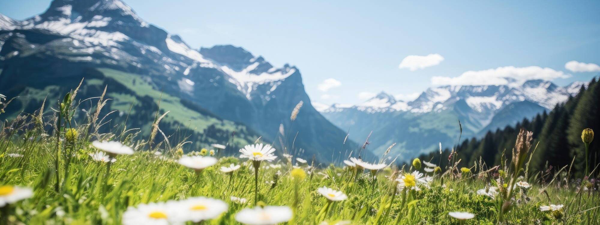 Sommerurlaub - Stubaital